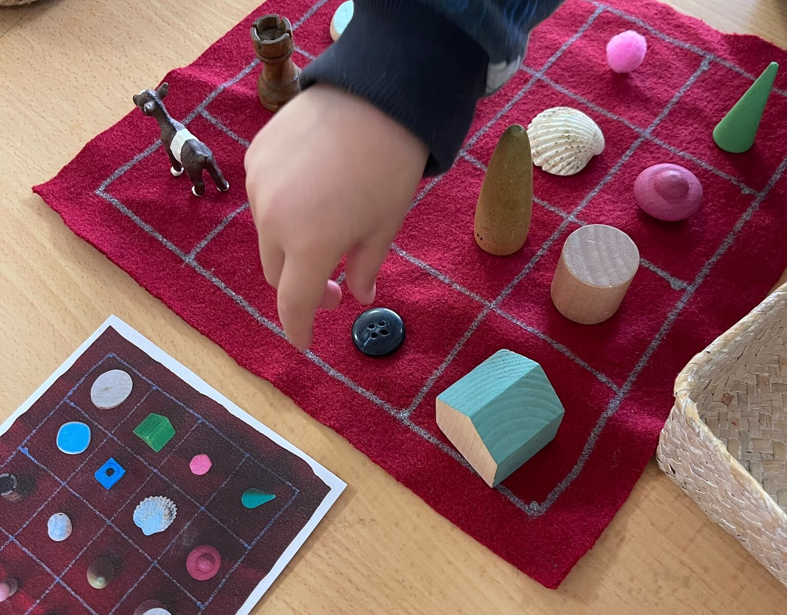 propostes manipulatives 1